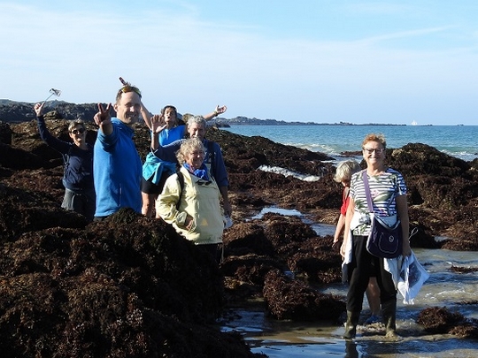 Pas d'image disponible