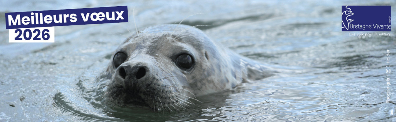 Vœux 2026