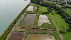 Découverte des libellules, papillons de jour et autres insectes du marais des Guettes | Saint-Suliac