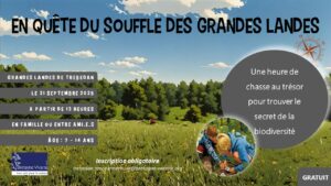 Chasse au trésor dans les Grandes Landes | Trébédan