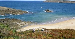 Les plantes des dunes côtières | Saint-Coulomb