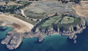 Les oiseaux de l’Île Besnard | Saint-Coulomb