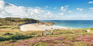 La flore du Cap d’Erquy
