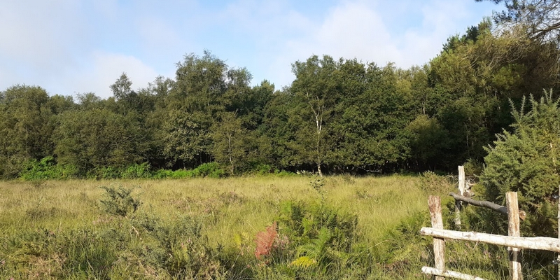Inventaire botanique des Grandes Landes de Trébédan