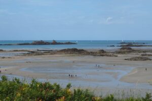 Découverte des sternes de l’île de La Colombière | Saint-Jacut-de-la-Mer