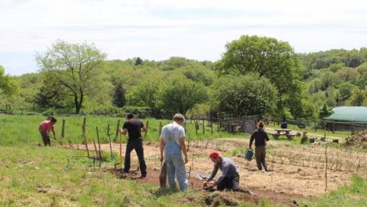 Restauration du bocage à la ferme du Bourg | Sains
