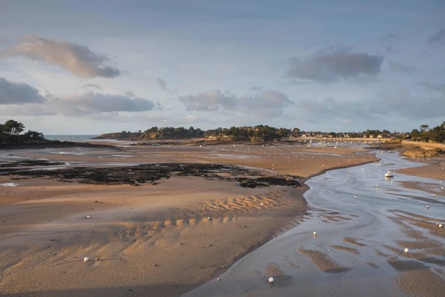 Balade ornithologique le long de l’estuaire du Frémur | Saint-Briac