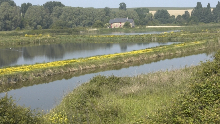 Réserve des Guettes