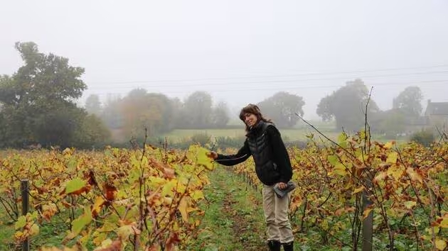 Un vignoble en Bretagne à la Ferme des Trois Accords