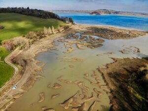 Avifaune de La Souhaitier | Plouër-sur-Rance