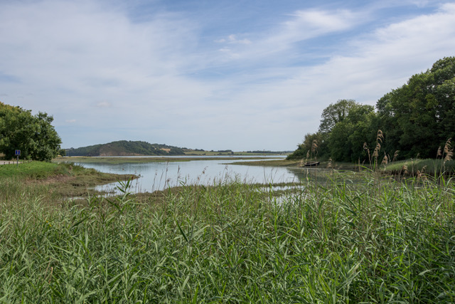 Avifaune de La Souhaitier | Plouër-sur-Rance
