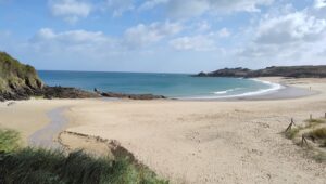 Découvrir les petits habitants de la plage du Petit Port | Cancale
