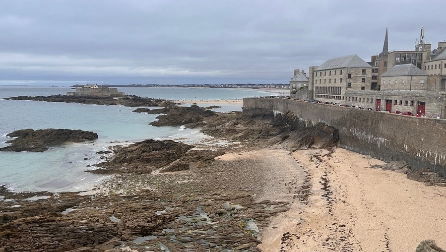 A la rencontre des petits animaux qui peuplent l’estran | Saint-Malo