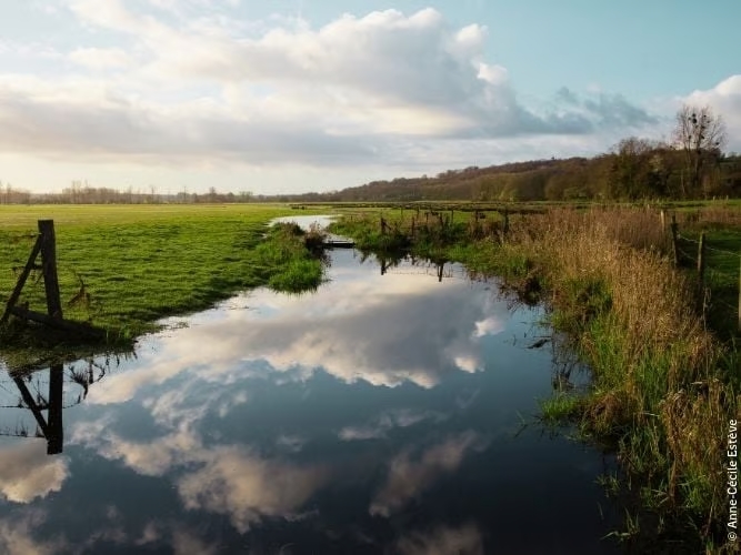 Le marais de Sougeal