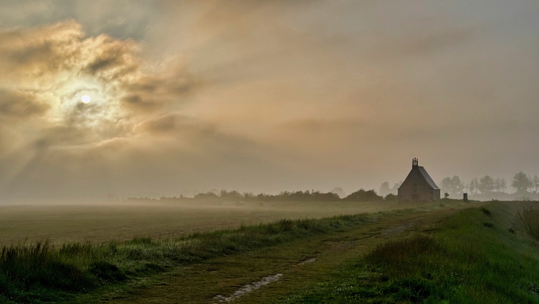 Balade ornitho-botanique en baie du Mont Saint-Michel