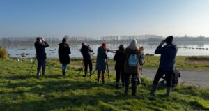 Découverte de l&rsquo;avifaune | Marais de Sougeal