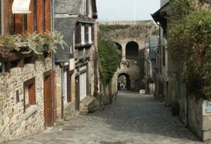 Herboriser avec les plantes spontanées du Vieux Dinan