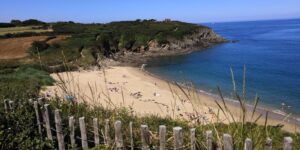Découvrir une jolie plage et sa biodiversité à Cancale