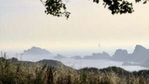 L&rsquo;avifaune de la Pointe du Grouin